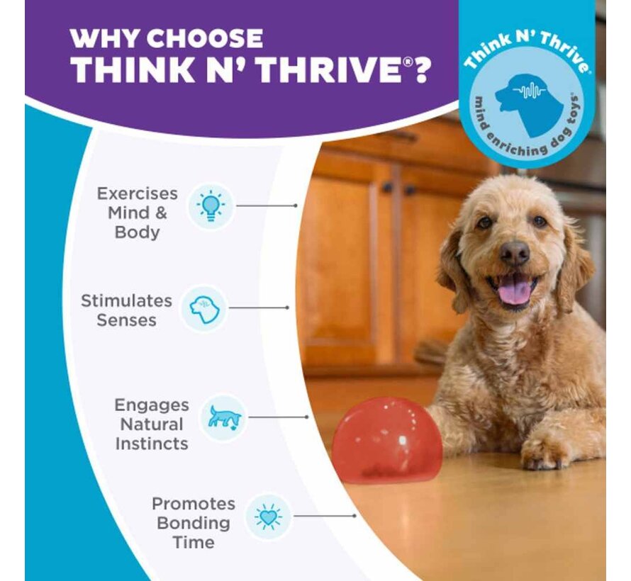 Hondenspeelgoed Snoop Blauw