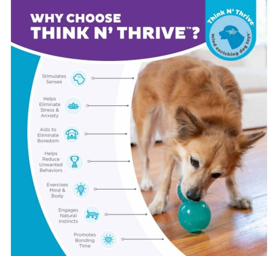 Dog Toy Double Tuff Blue