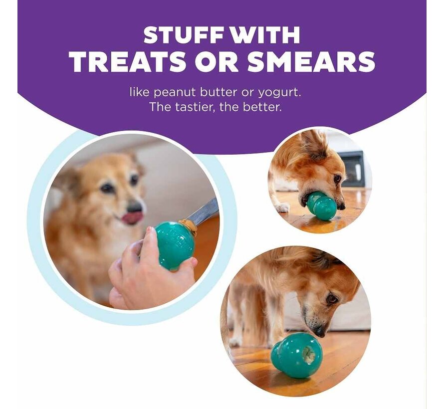 Dog Toy Double Tuff Blue