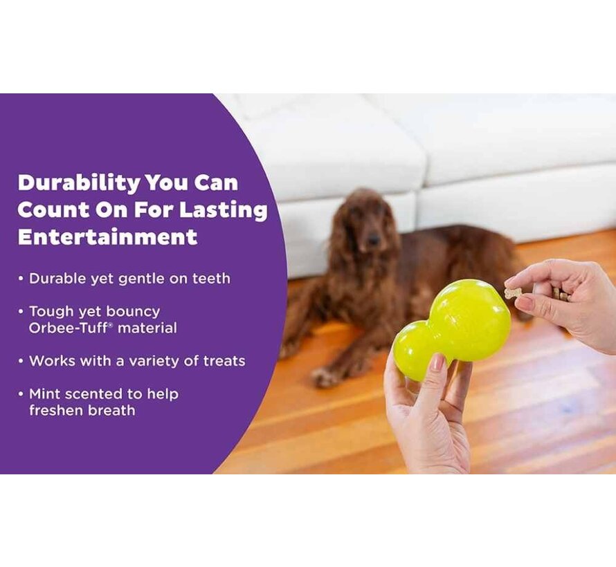 Dog Toy Double Tuff Green