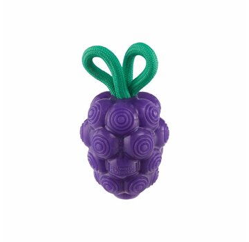 Planet Dog Dog Toy Dental Grapes