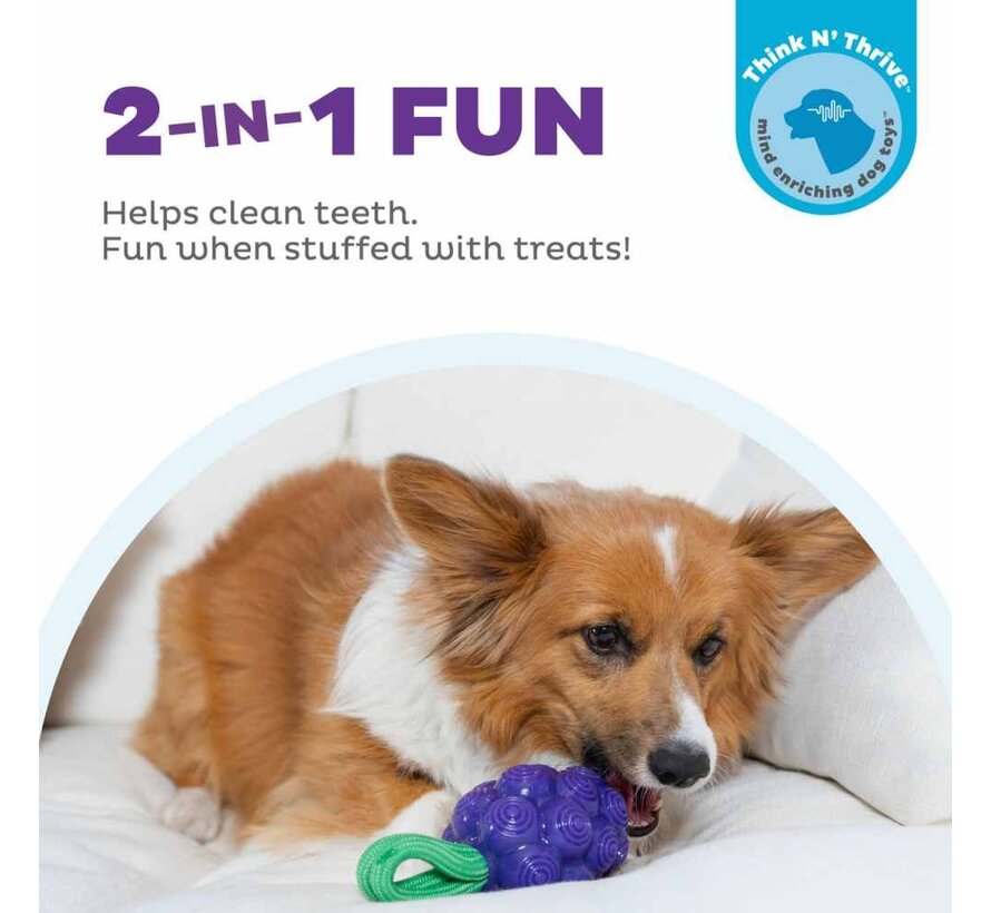 Hondenspeelgoed Dental Grapes