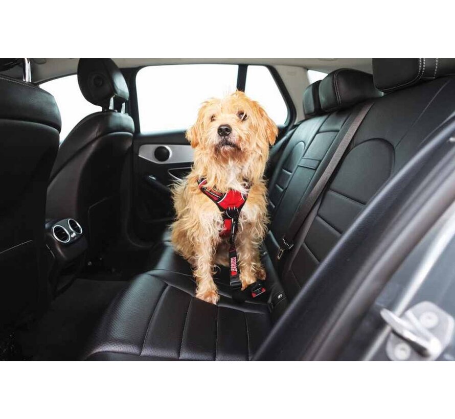 Veiligheidsriem Zwart