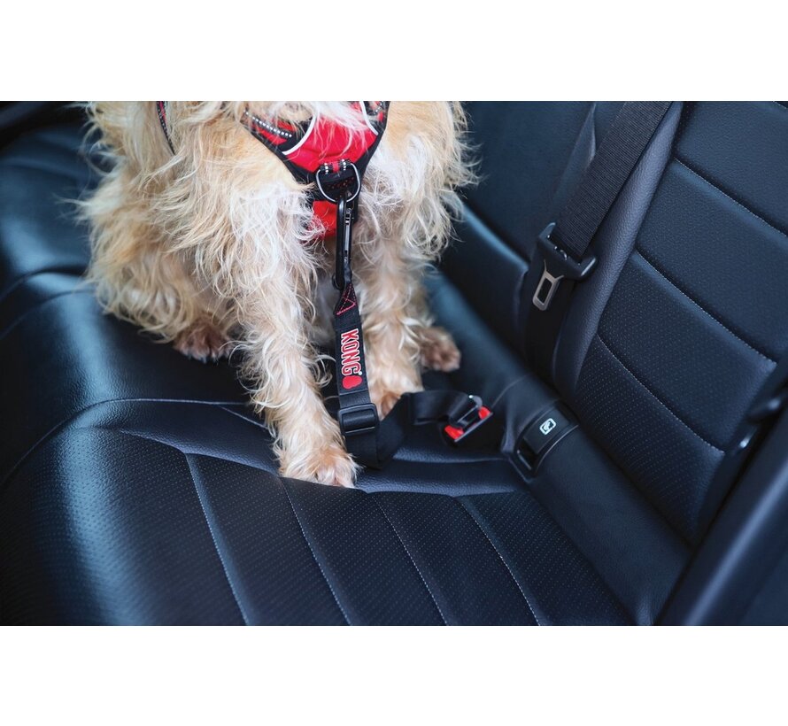 Veiligheidsriem Zwart