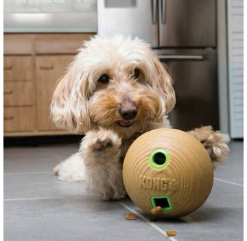 Kong Dog Toy Bamboo Feeder Ball