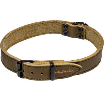 Jack and Vanilla Dog Collar Black Label Green