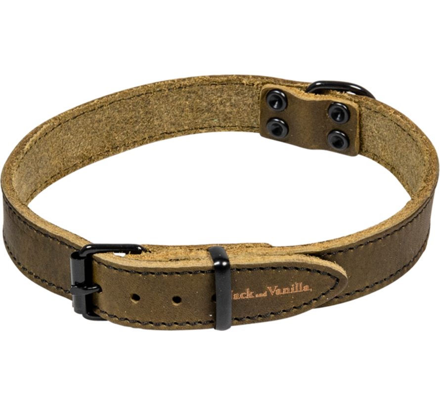 Hondenhalsband Black Label Groen