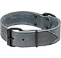 Dog Collar Black Label Wide Grey