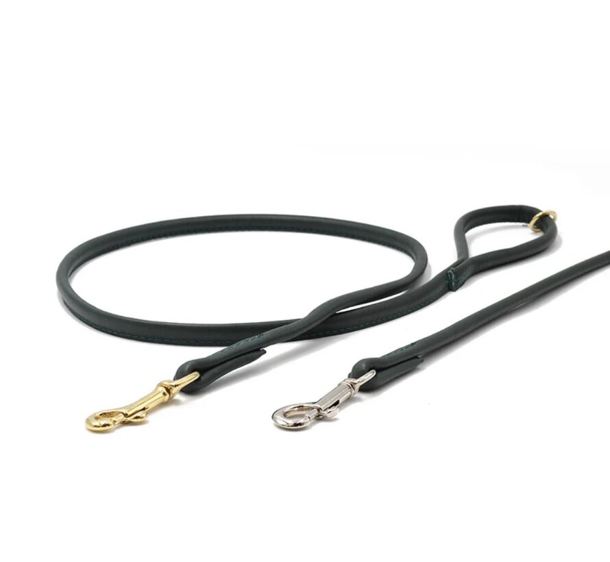 Short Dog Leash City Green