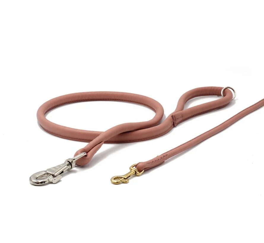 Short Dog Leash City Old Pink
