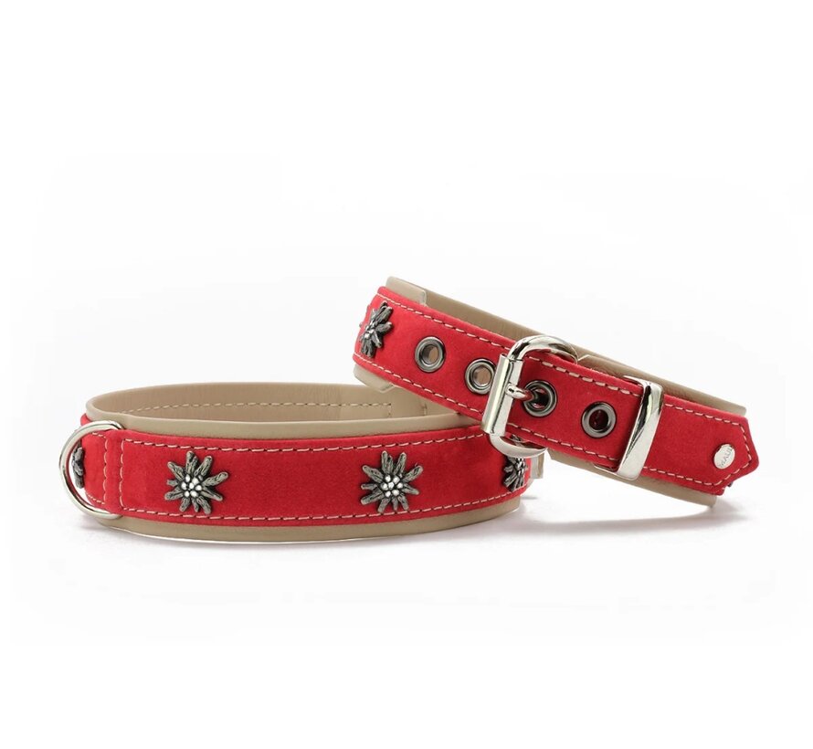 Dog Collar Alpine Flower Red