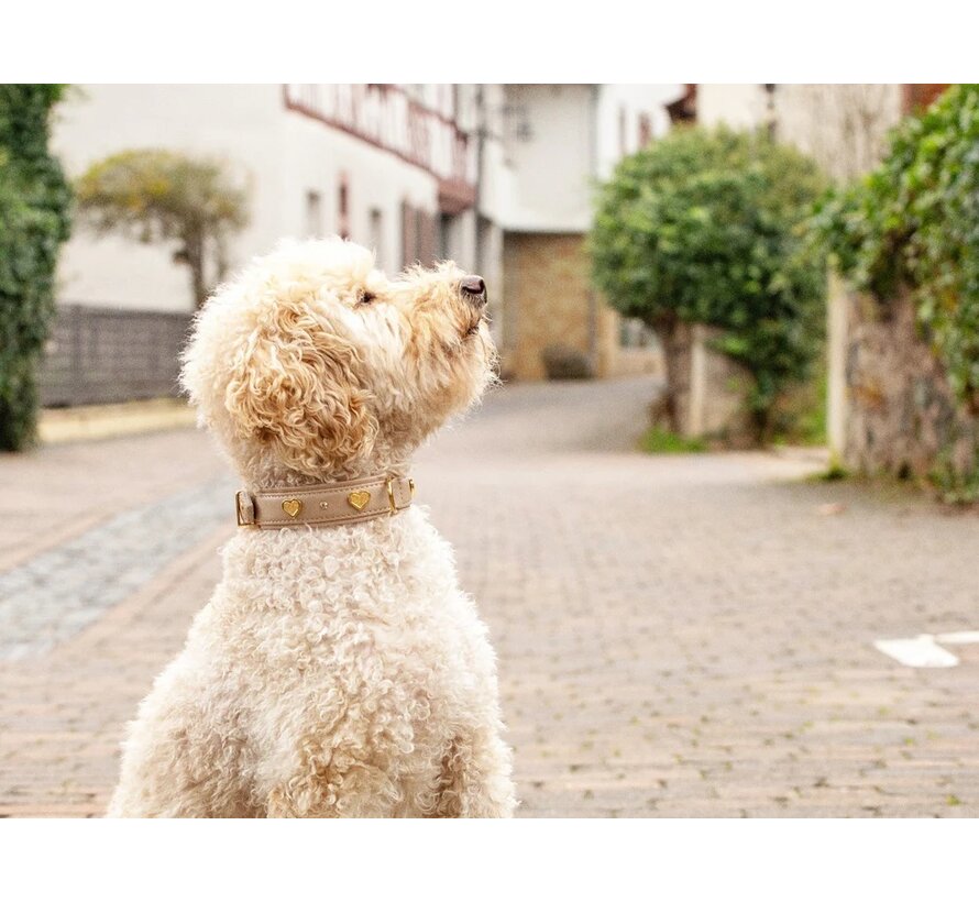 Dog Collar Ciao Mama Ivory