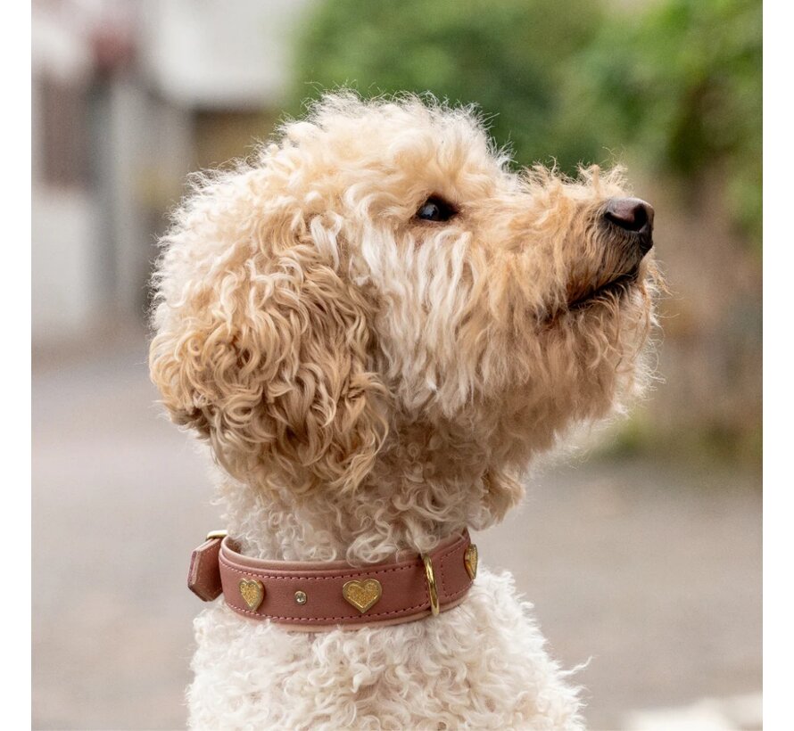 Dog Collar Ciao Mama Old Pink