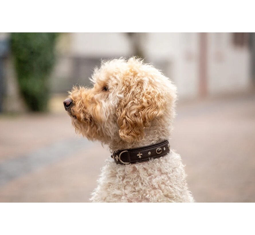 Dog Collar Dark Diamond Brown Silver