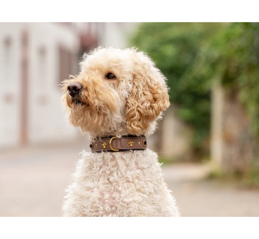 Dog Collar Dark Diamond Taupe Gold