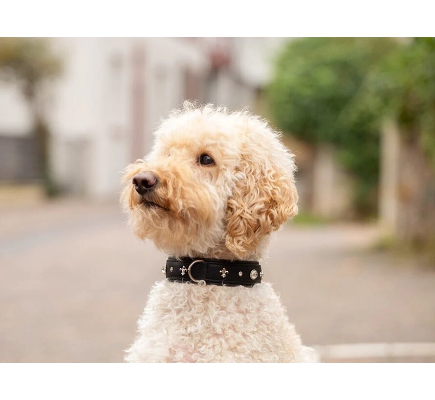 Dog Collar Diamond Black