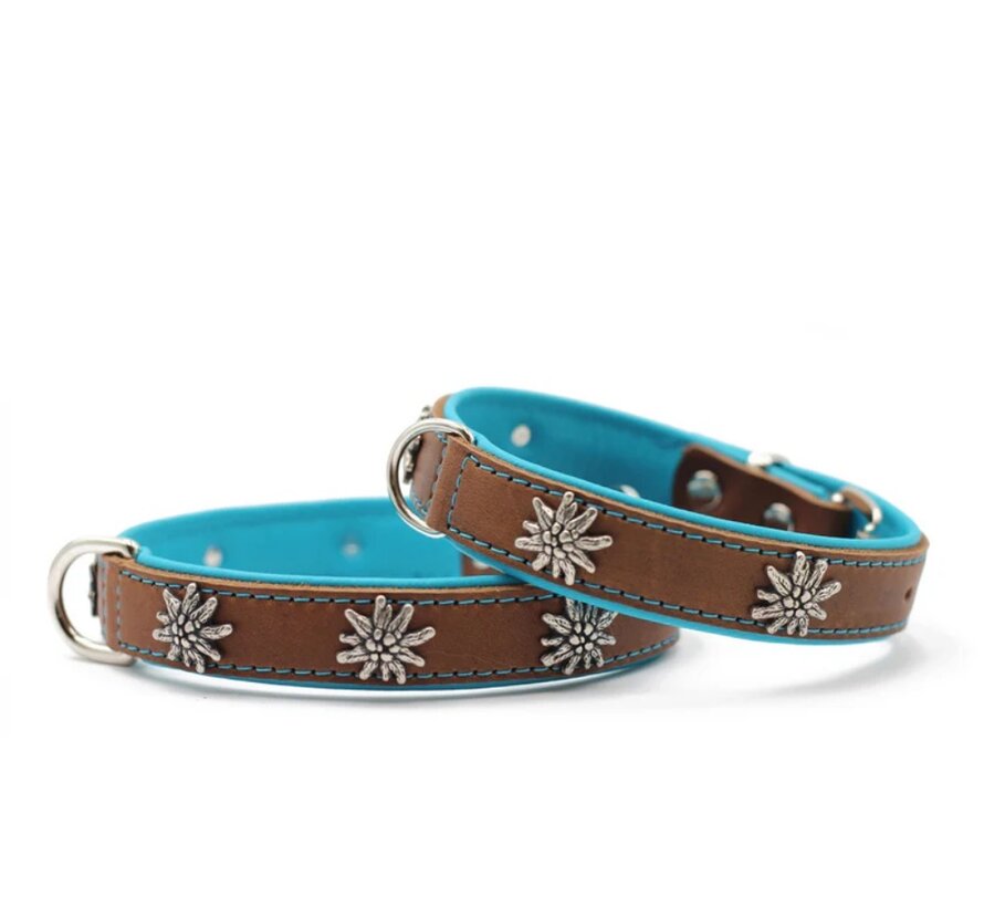 Dog Collar Edelweiss Mokka - Petrol