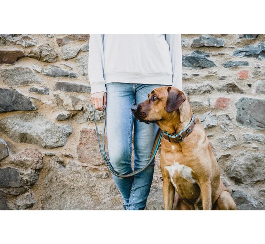 Dog Collar Edelweiss Mokka - Petrol