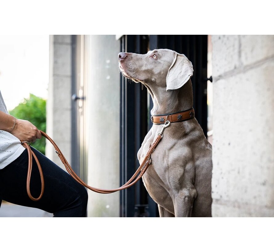 Hondenhalsband Wildleven Cognac