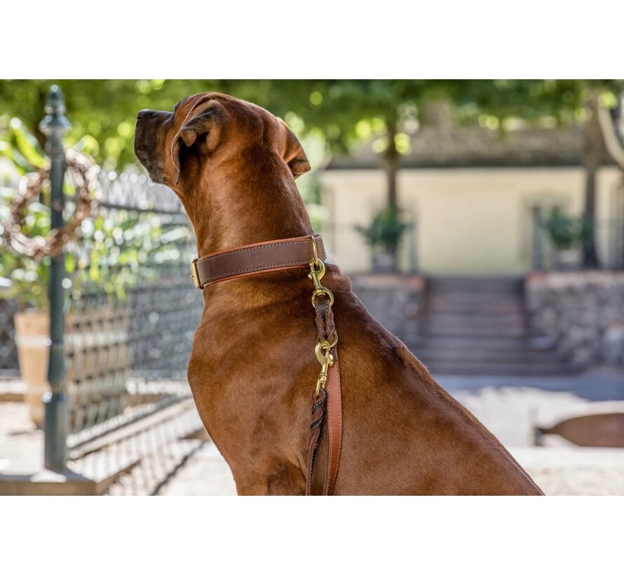 Hondenhalsband Klassiek Bruin / Cognac Goud