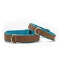 Dog Collar Classic Mocha / Petrol