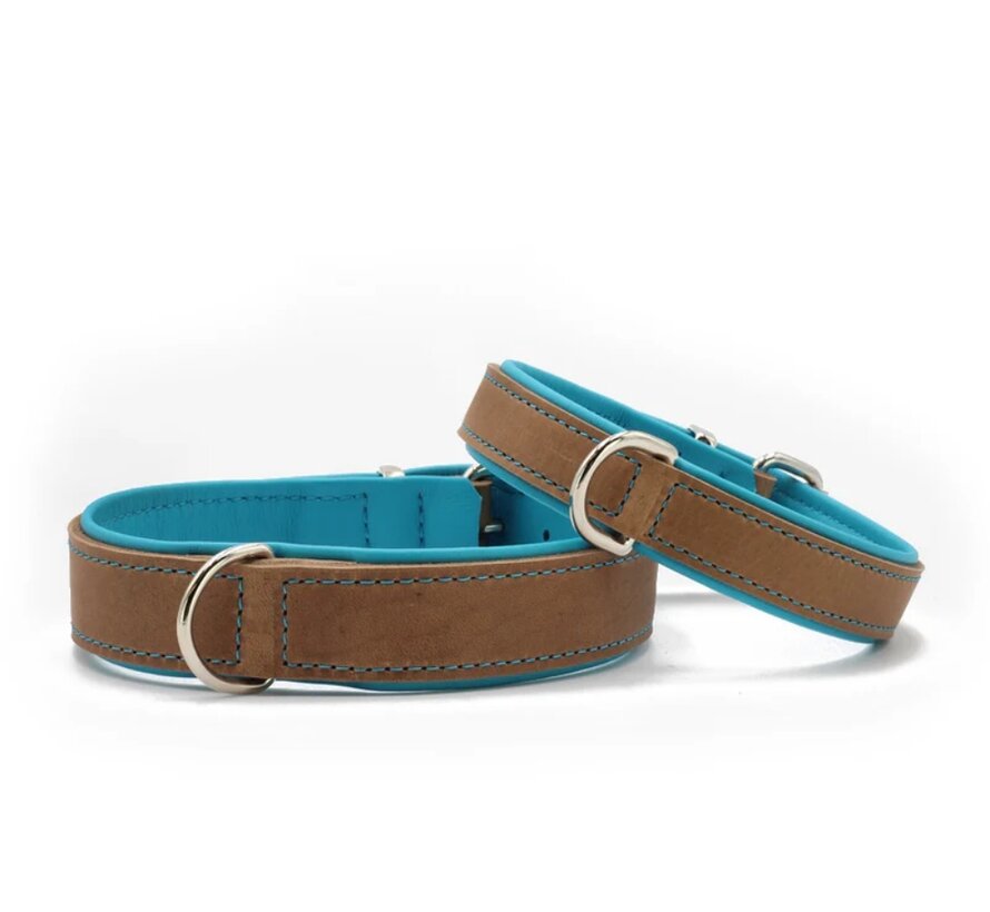 Dog Collar Classic Mocha / Petrol