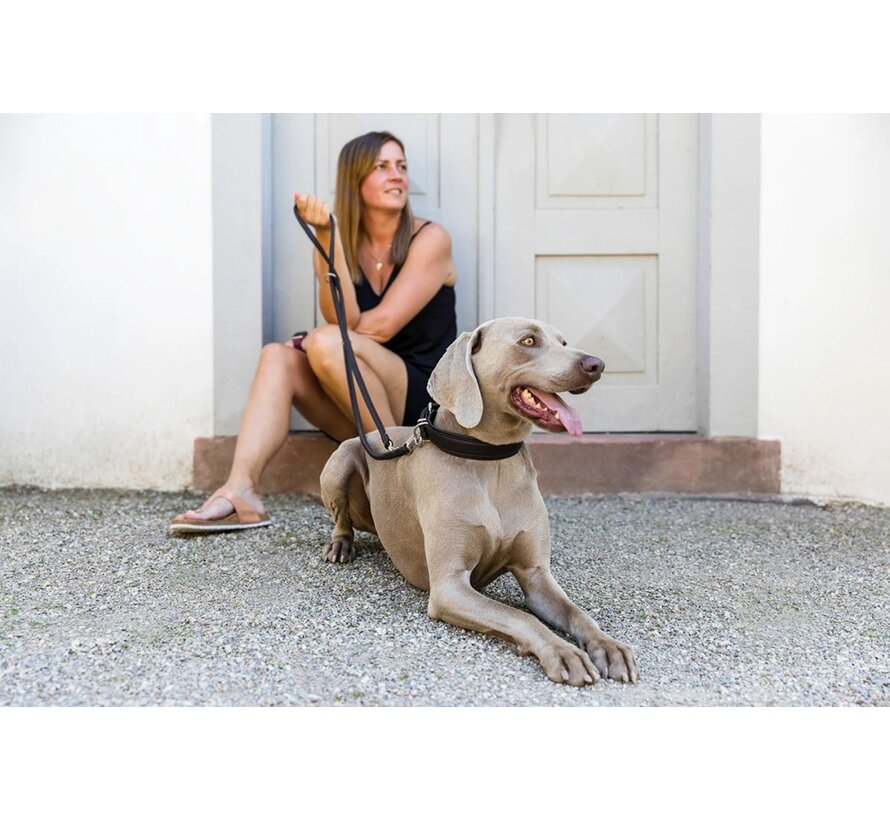 Dog Collar Classic Soft Black