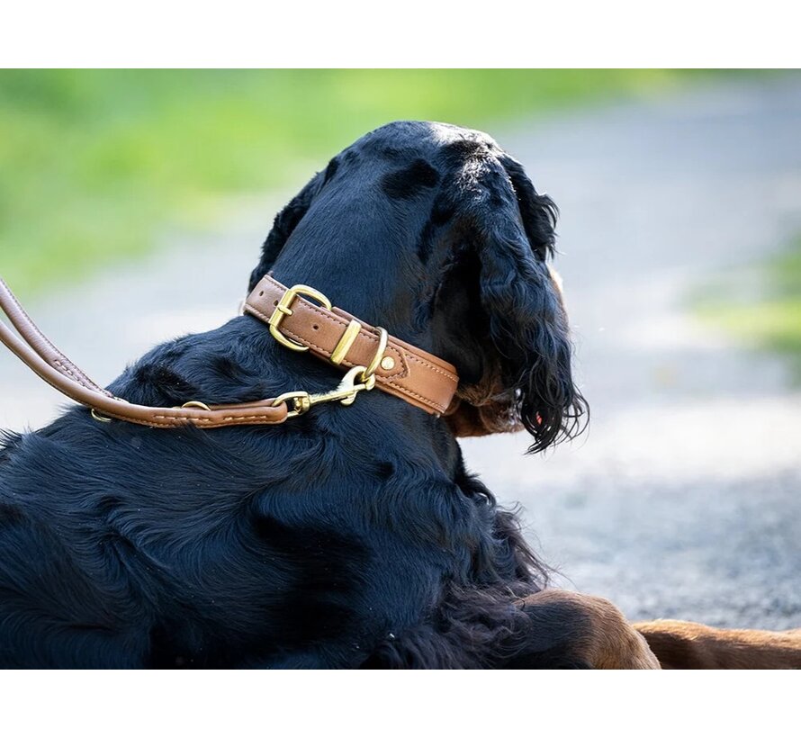 Dog Collar Classic Soft Cognac