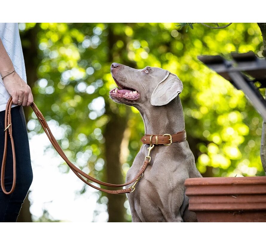 Hondenhalsband Klassiek Soft Cognac