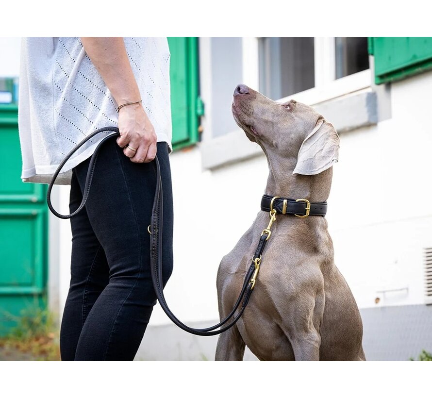 Dog Collar Classic Soft Brown