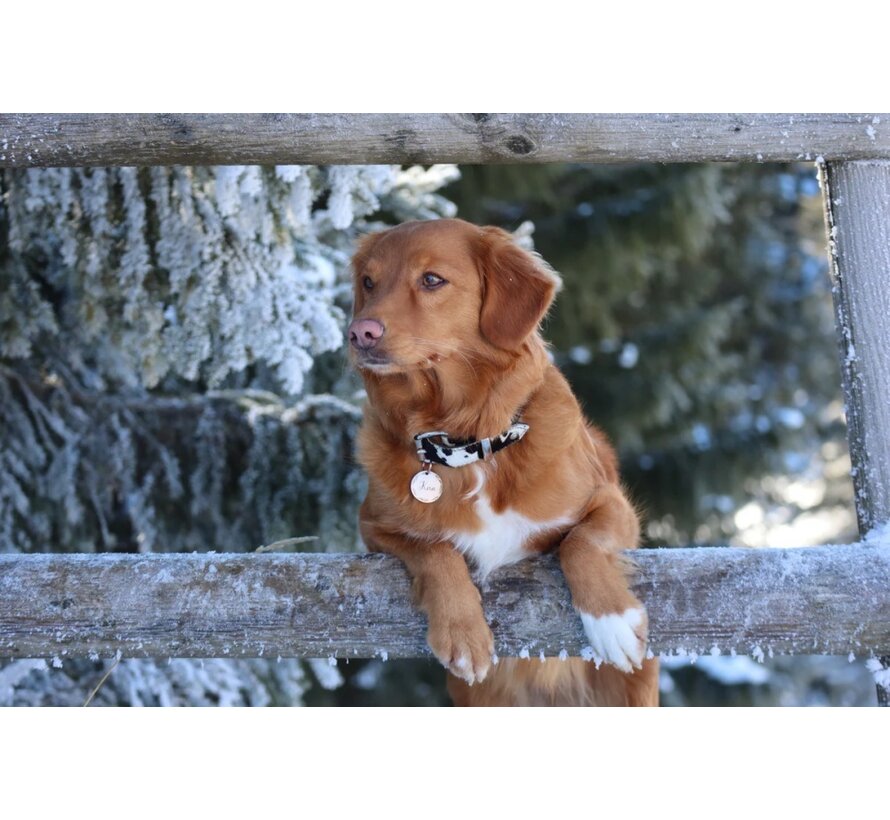 Dog Collar Cowhide Black