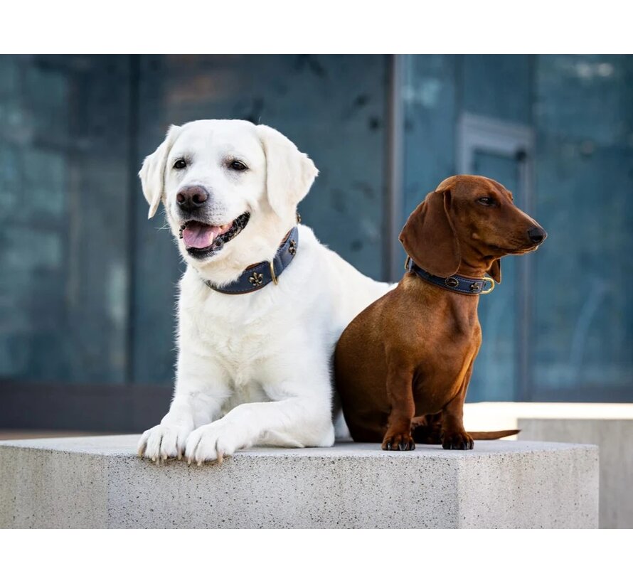 Dog Collar Lord & Lady Blue