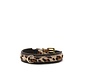 Dog Collar Mini Africa
