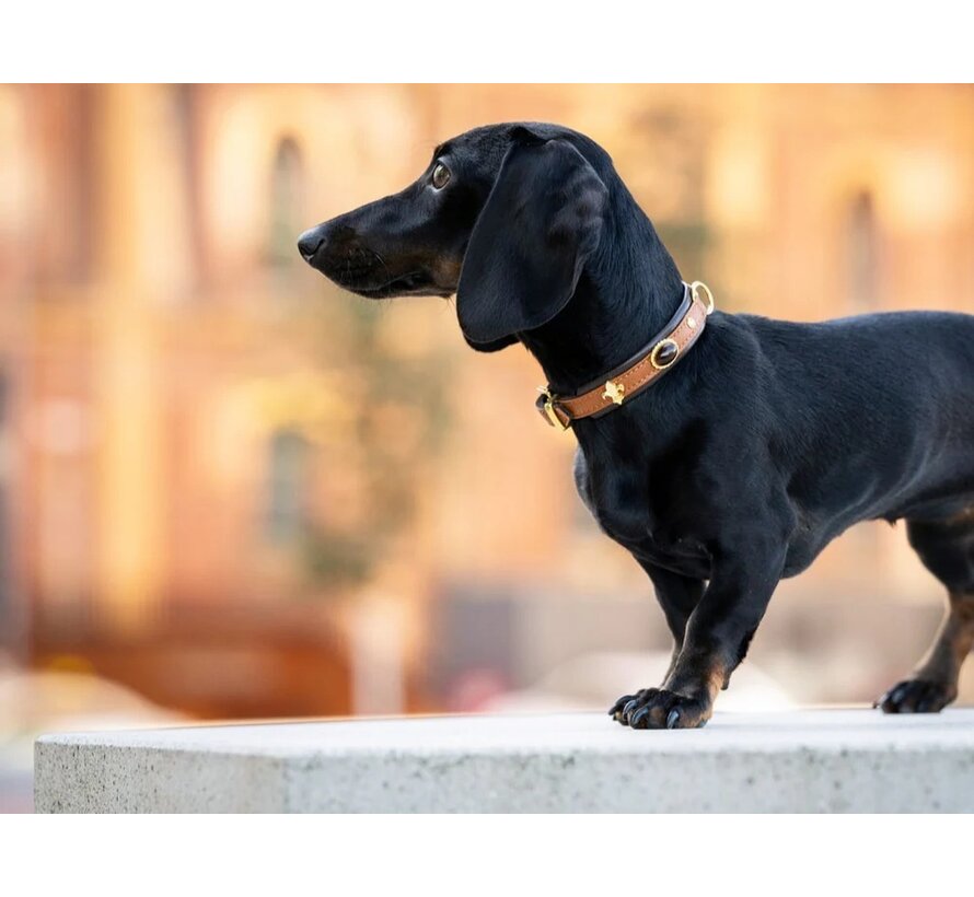 Dog Collar Mini Dark Diamond Cognac Gold