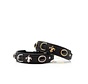 Dog Collar Mini Dark Diamond Black Gold
