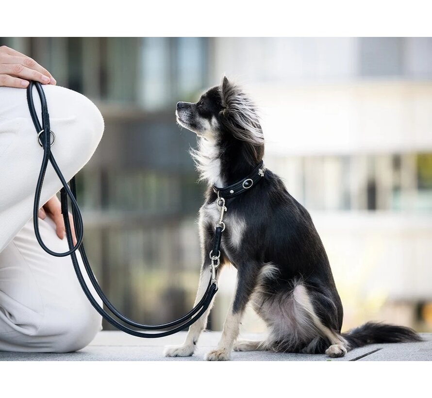 Dog Collar Mini Dark Diamond Black Silver