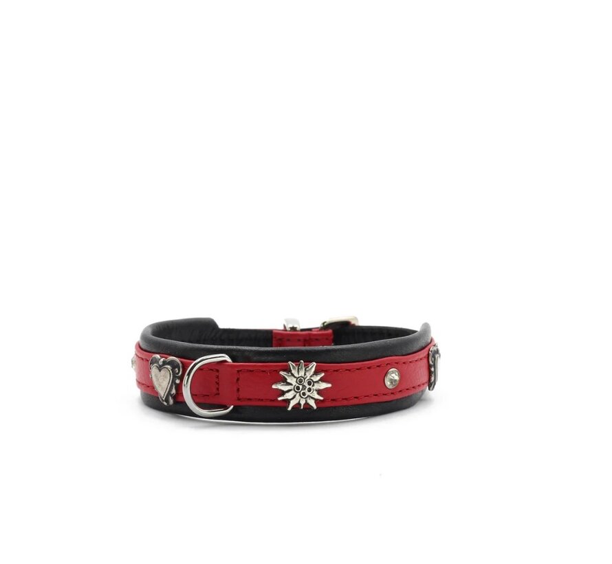 Hondenhalsband Mini Herzilein Rood