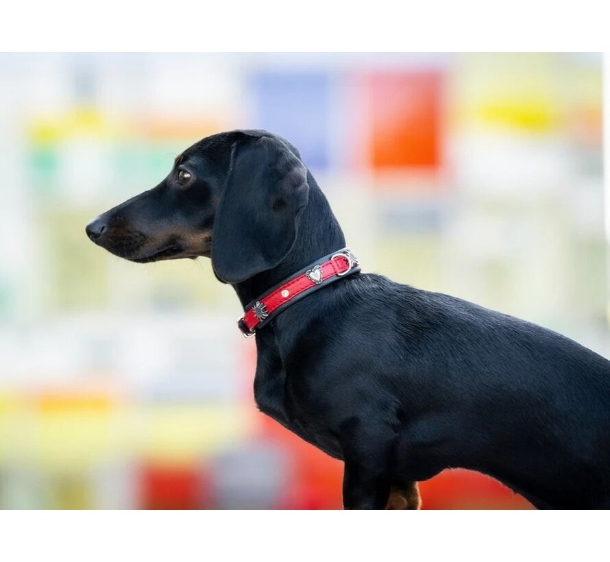 Dog Collar Mini Herzilein Red