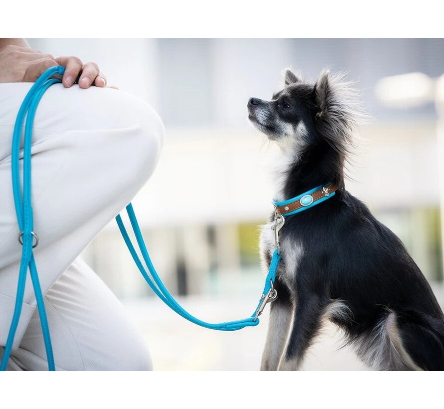 Dog Collar Mini Ibiza