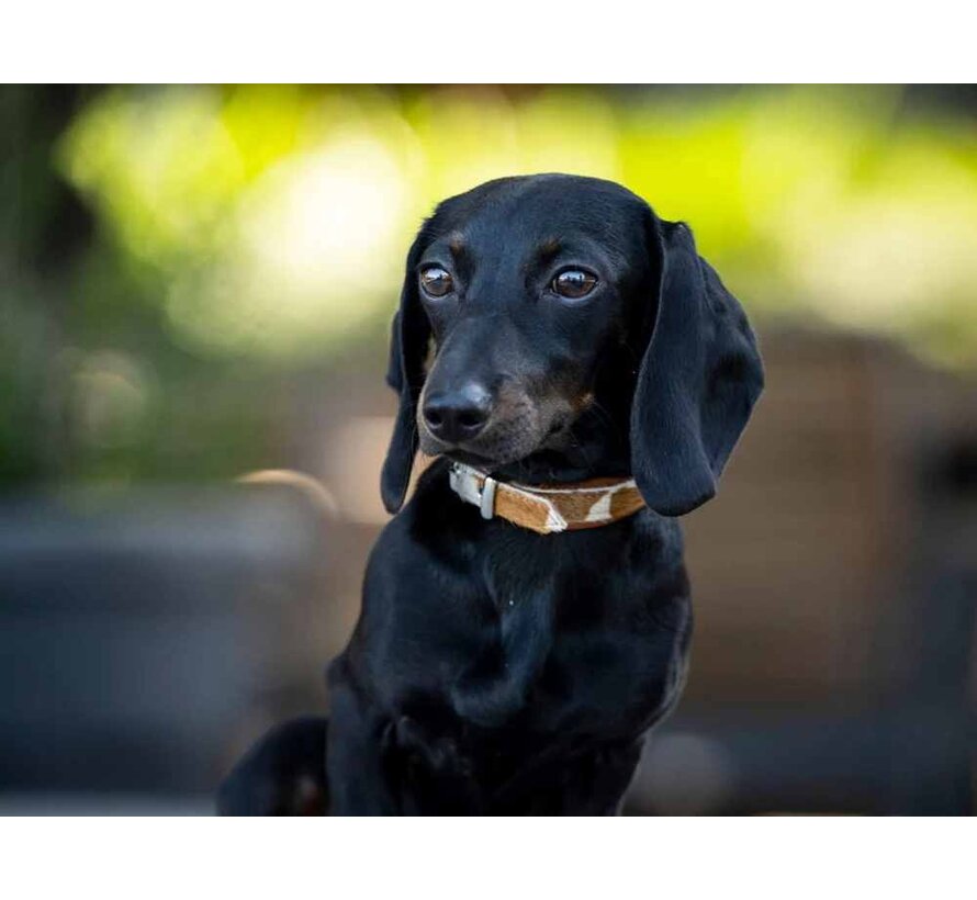 Dog Collar Mini Cowhide Brown