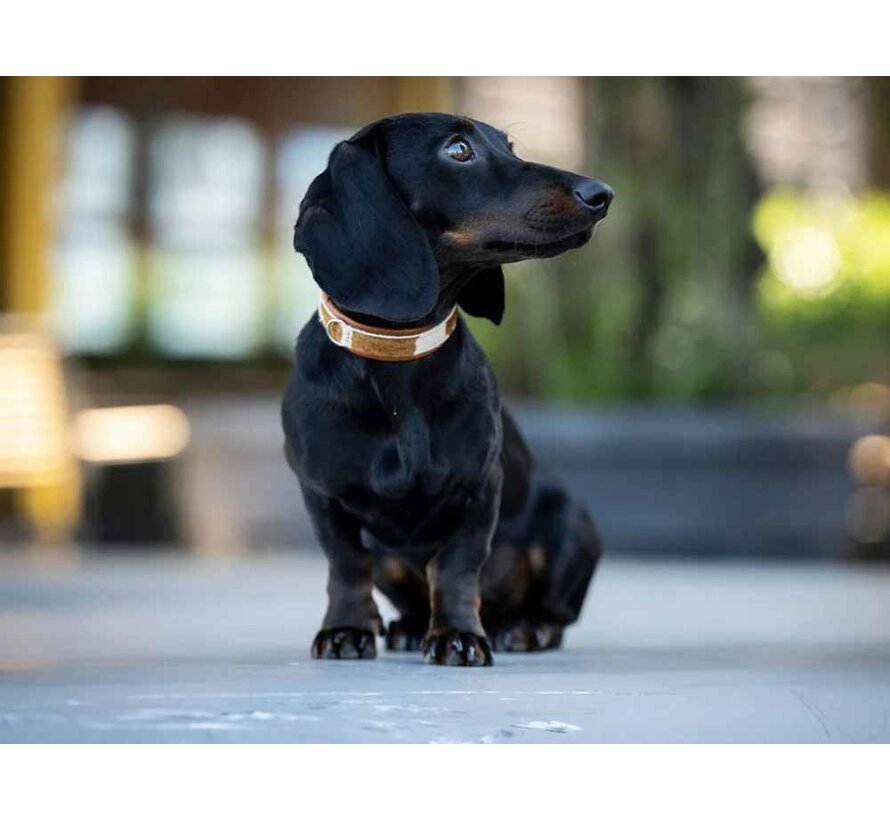 Dog Collar Mini Cowhide Brown
