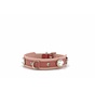 Dog Collar Mini Nest