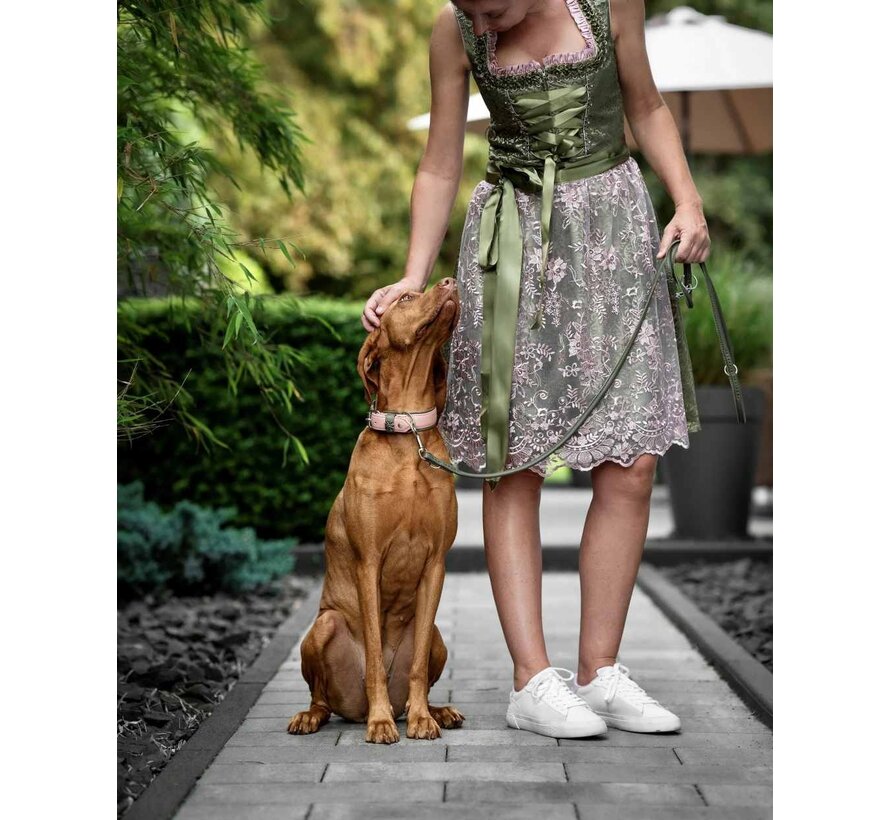 Dog Collar Zillertal Old Pink