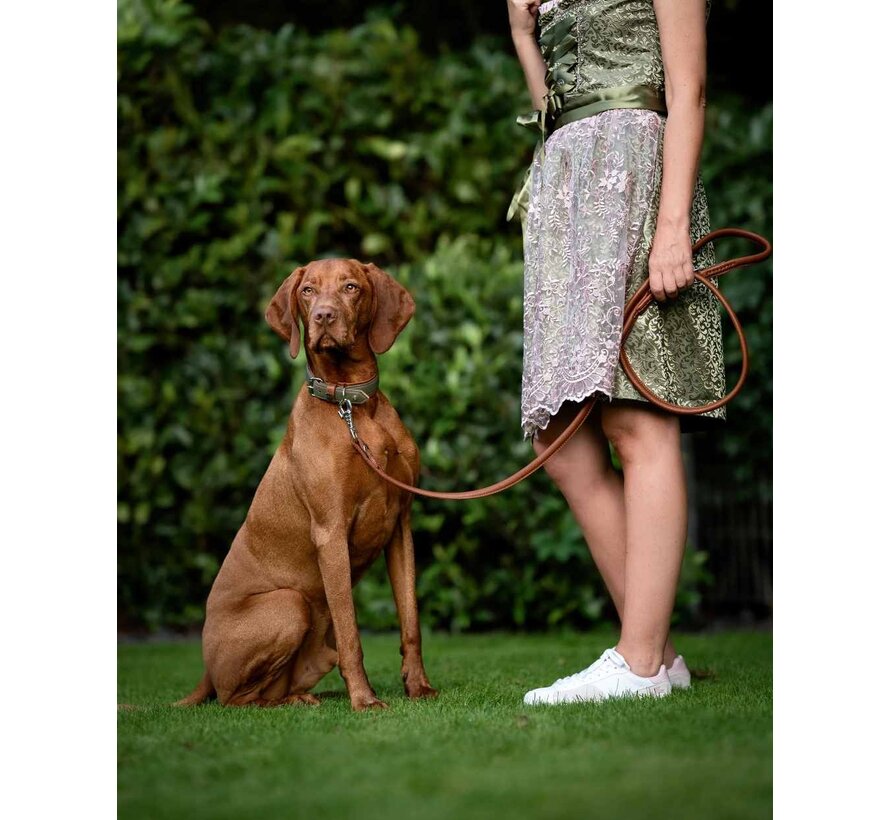 Dog Collar Zillertal Khaki