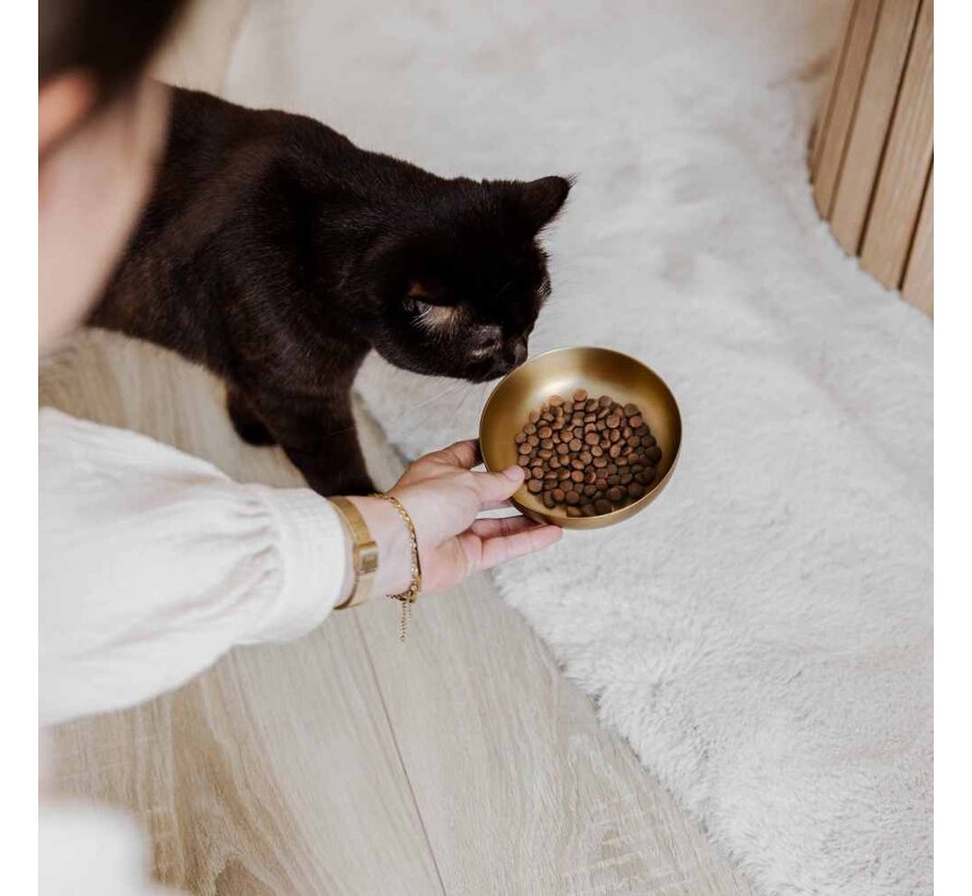 Drinking Bowl or Feeding Bowl Cat Royal Gold