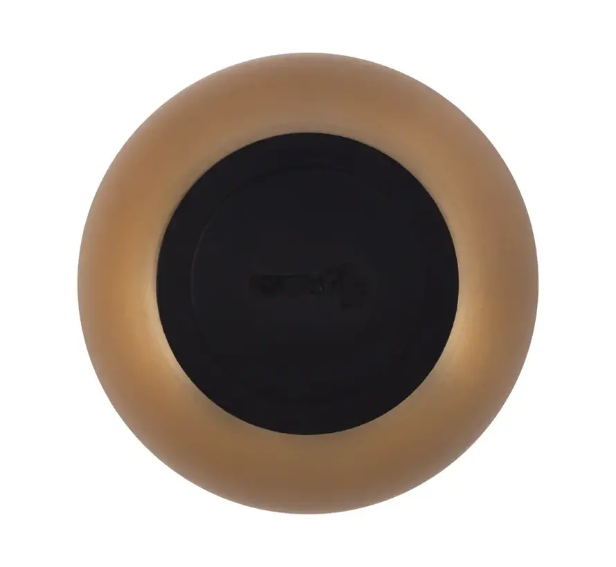 Drinking Bowl or Feeding Bowl Cat Royal Gold