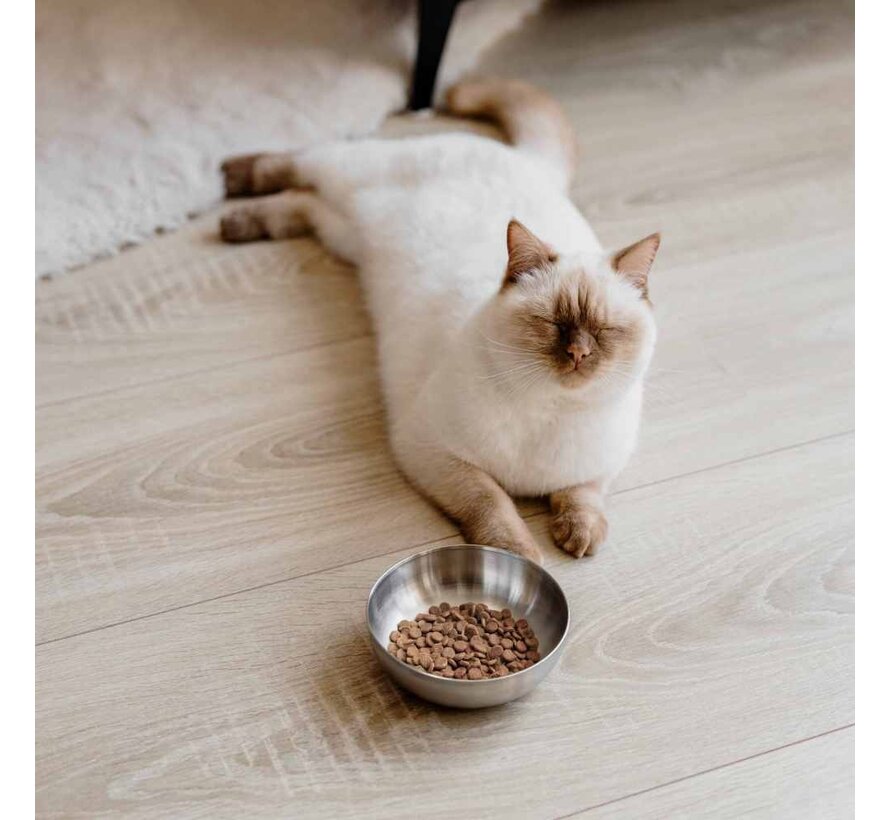 Drinkbak of Voerbak Kat Royal Zilver