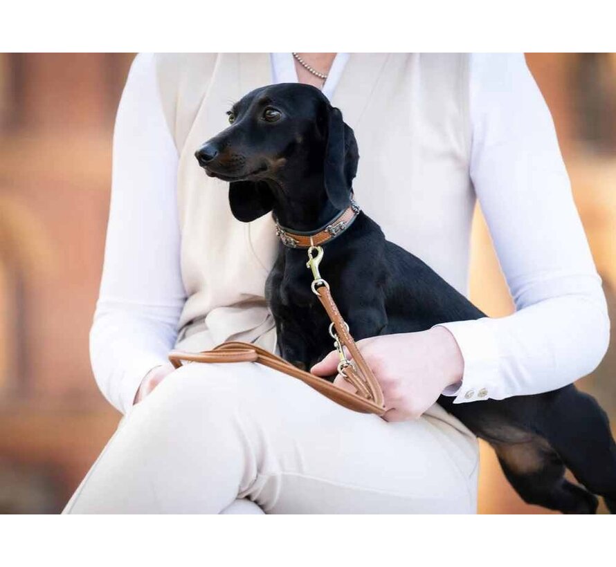 Dog Collar Dachshund Cognac Mini