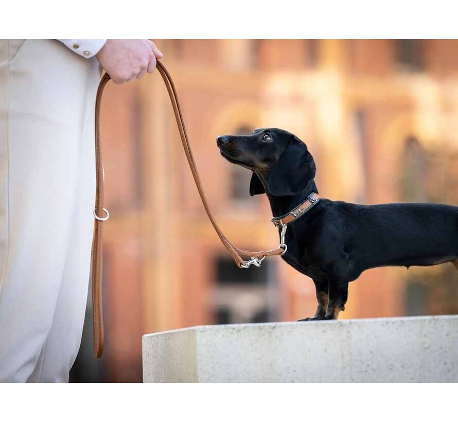 Hondenhalsband Teckel Cognac Mini