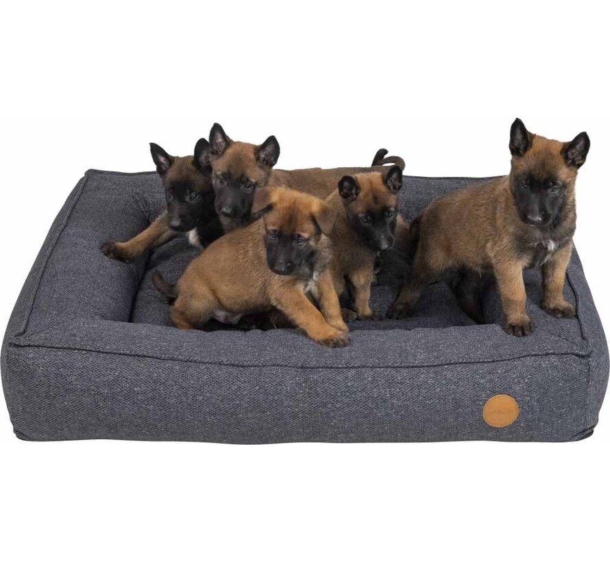 Orthopedic Boxbed Hampton Dark Grey